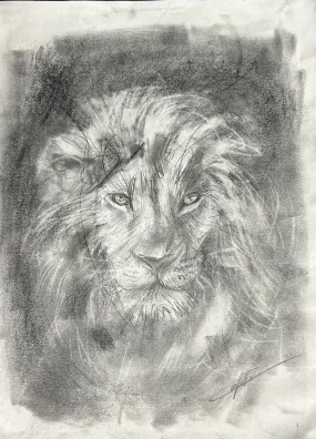 Animal sketch ''The vision of the lion'' sketching study of the artist Confetti in graphite pencil on paper