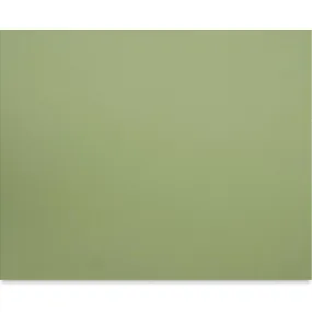 Canson Art Board 16 x 20 480 Light Green