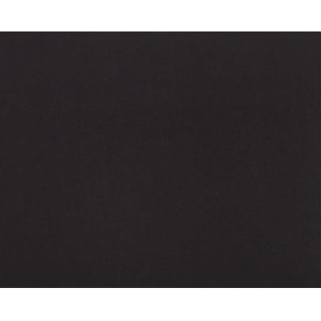 Canson Art Board 32 x 40 425 Black