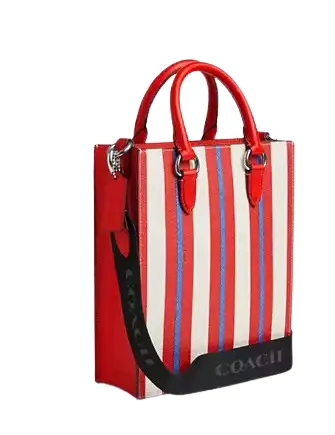 Coach Dylan Tote Bag With Stripe Print