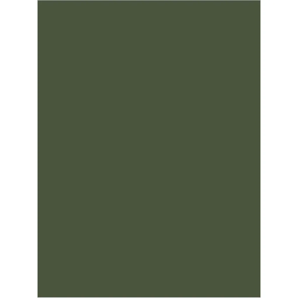 Colorline Paper Sheets 8.5in x 11in 150gsm Khaki Green