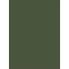 Colorline Paper Sheets 8.5in x 11in 150gsm Khaki Green