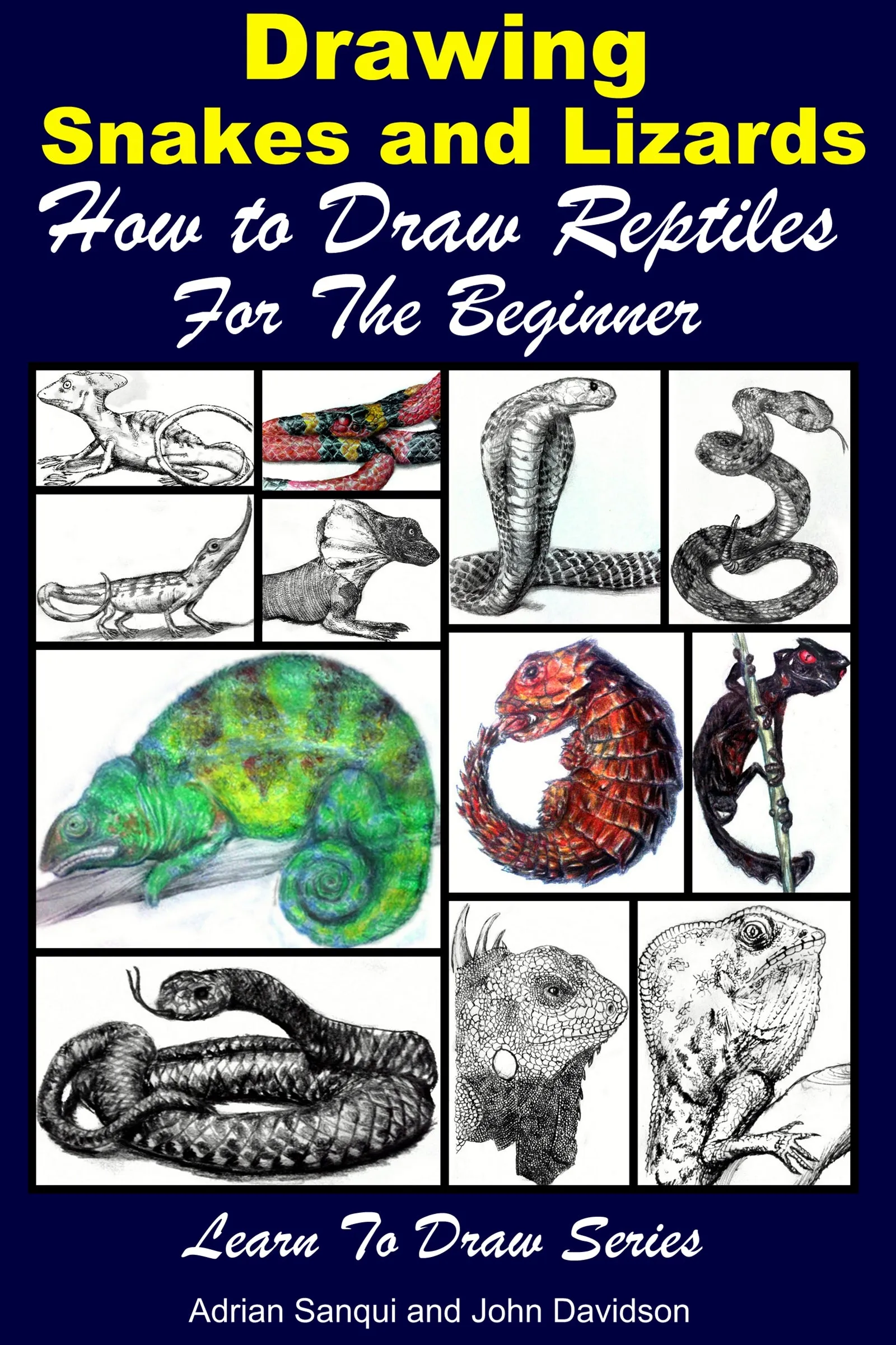 Drawing Snakes and Lizards - How to Draw Reptiles For the Beginner