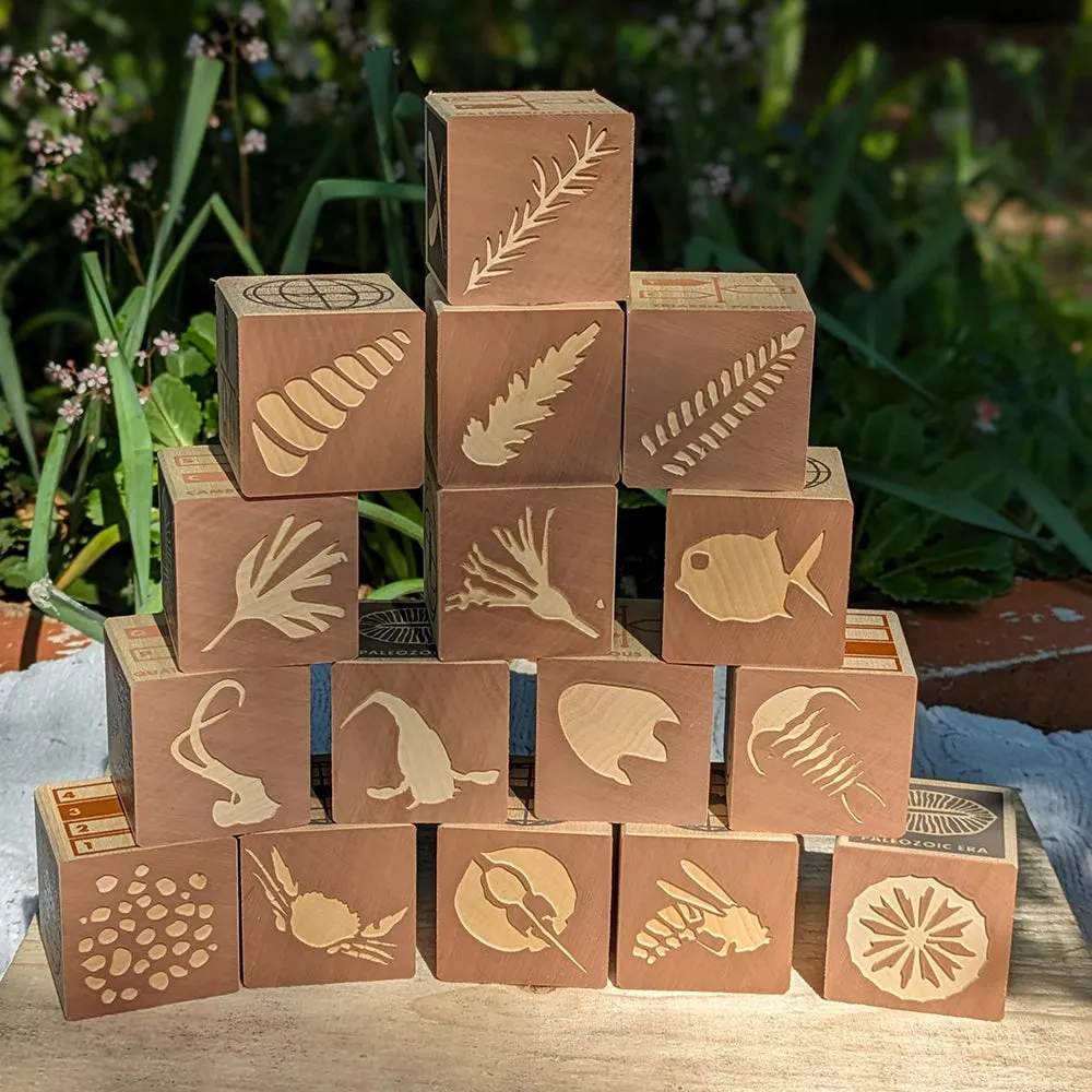 Fossil Wooden Blocks