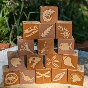 Fossil Wooden Blocks