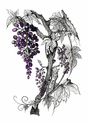 Grapevine Print in Purple