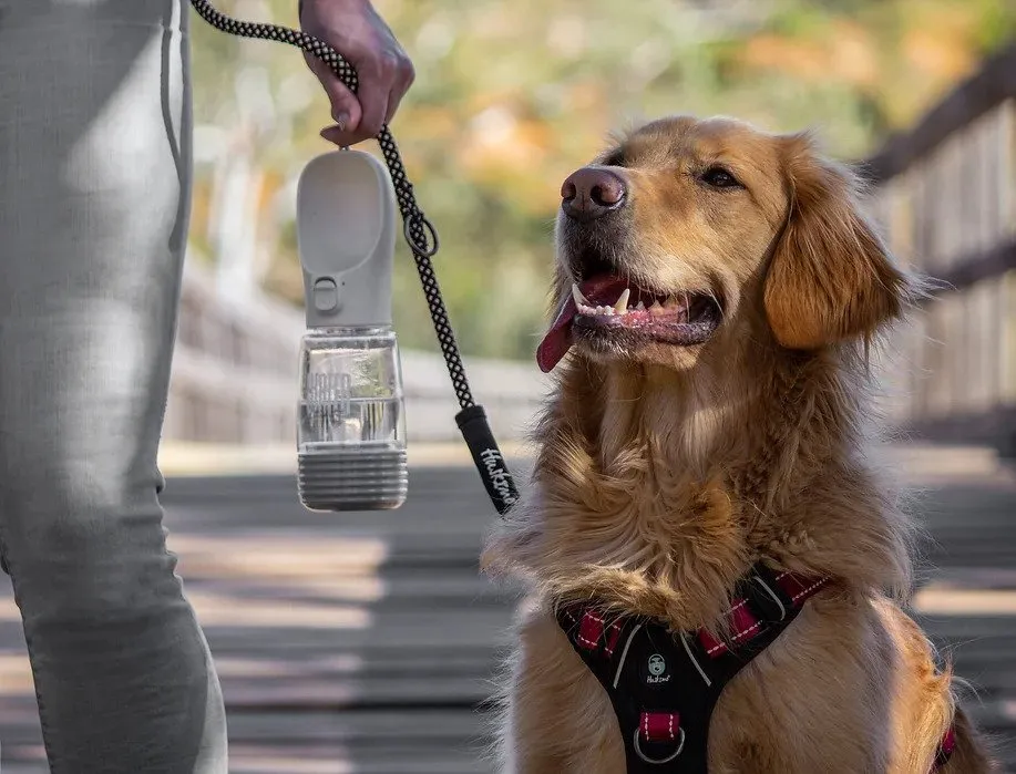 Huskimo Water Bottle with Poop Bag Dispenser - 380ml