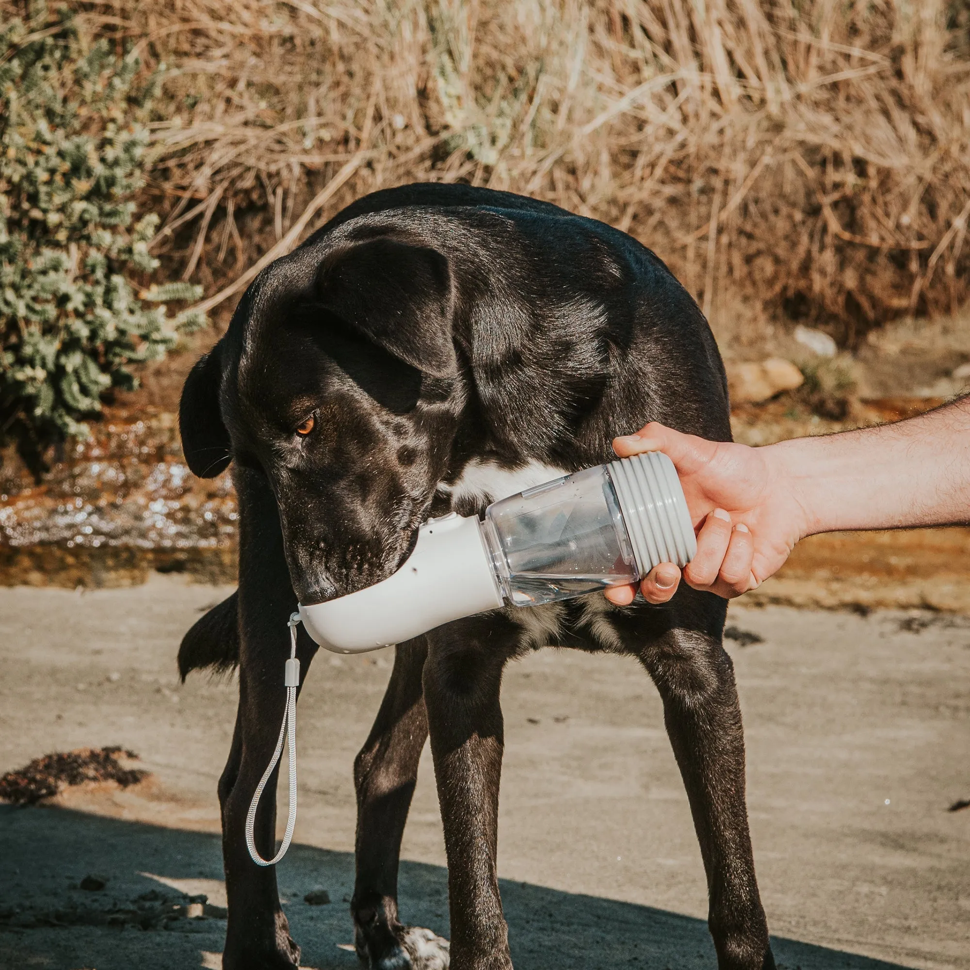 Huskimo Water Bottle with Poop Bag Dispenser 380ml