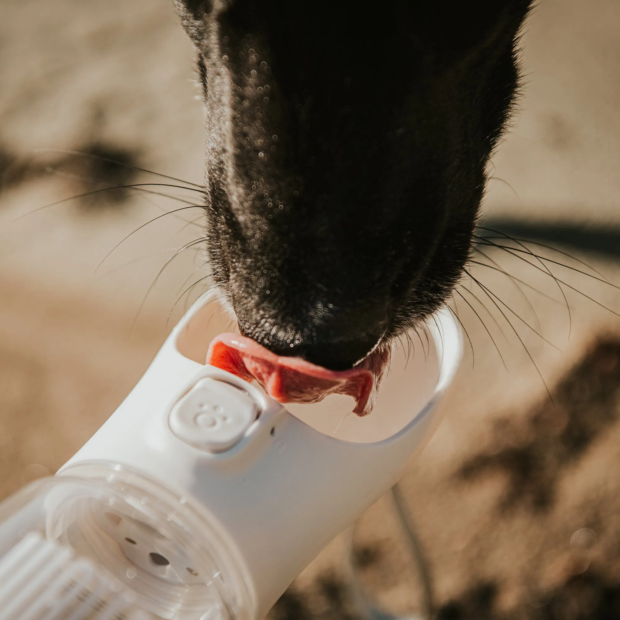 Huskimo Water Bottle with Poop Bag Dispenser 380ml