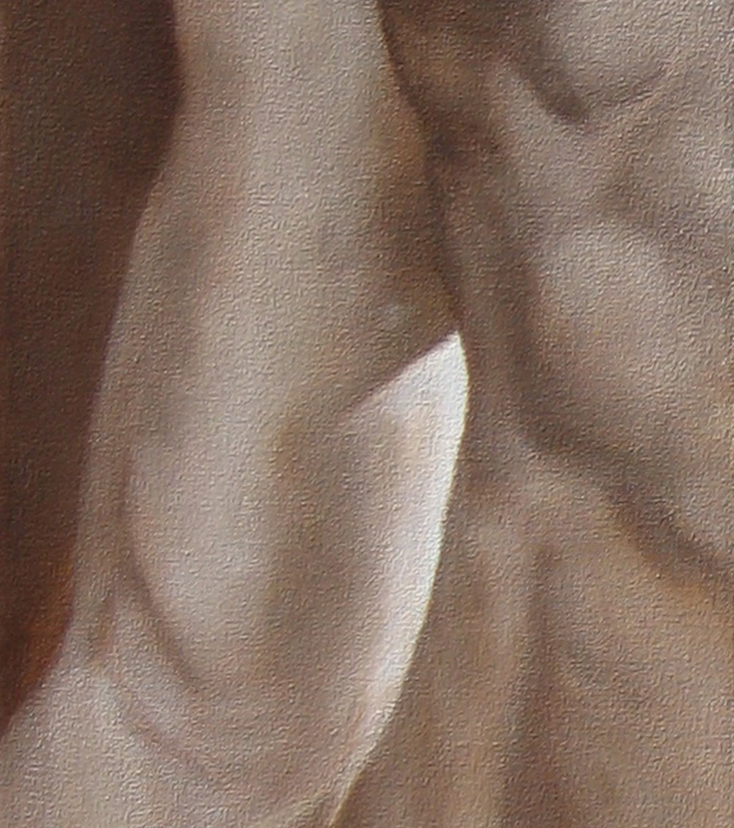 Lei Lui ~ Two Nude Torso Paintings Neutral Wall Art