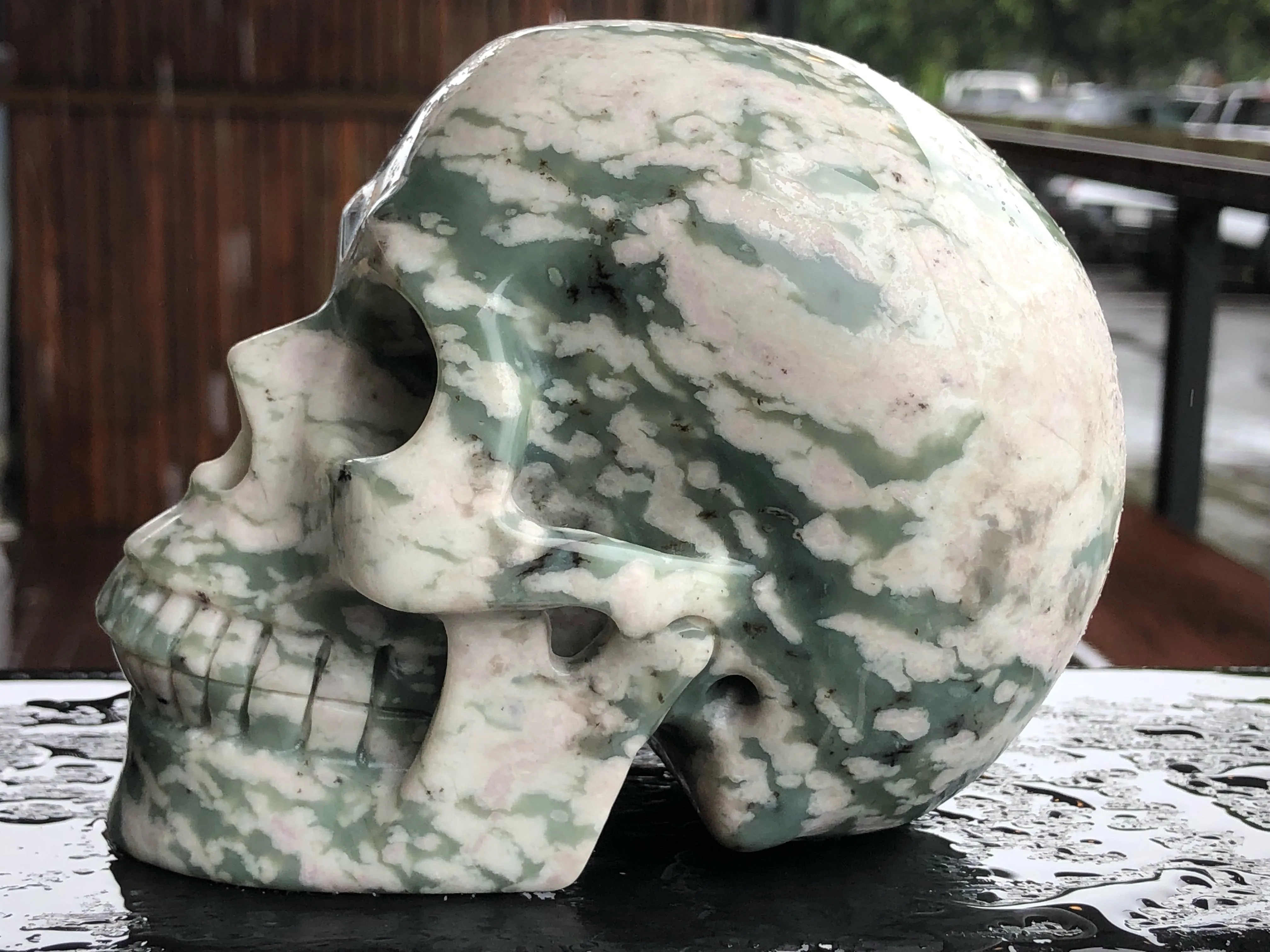 Peace Jasper Skull [1k1157]