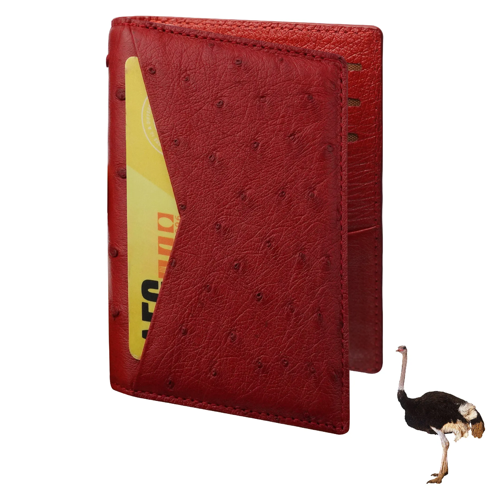 Red Double Side Ostrich Leather Credit Card Holder | RFID Blocking | CARDOS-07