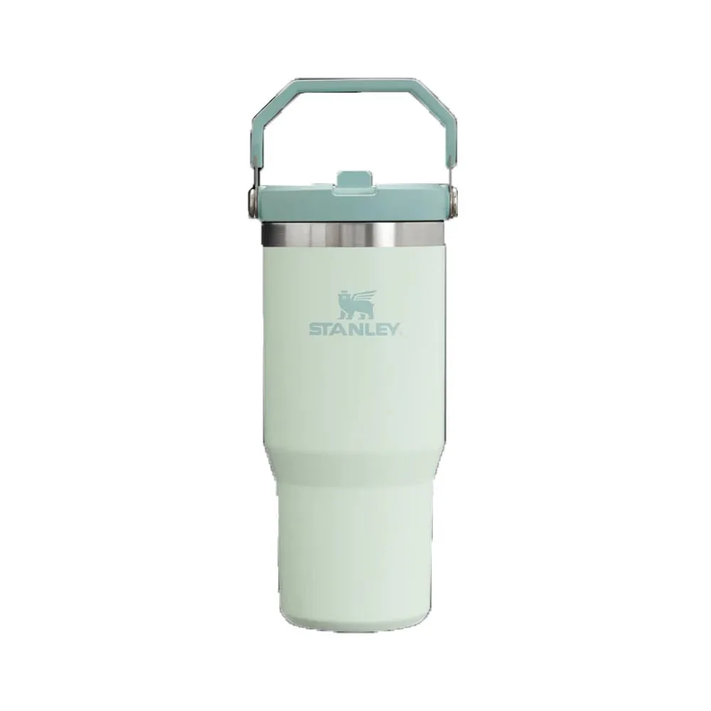 Stanley IceFlow Flip Straw Tumbler 20 oz. - 30 oz.