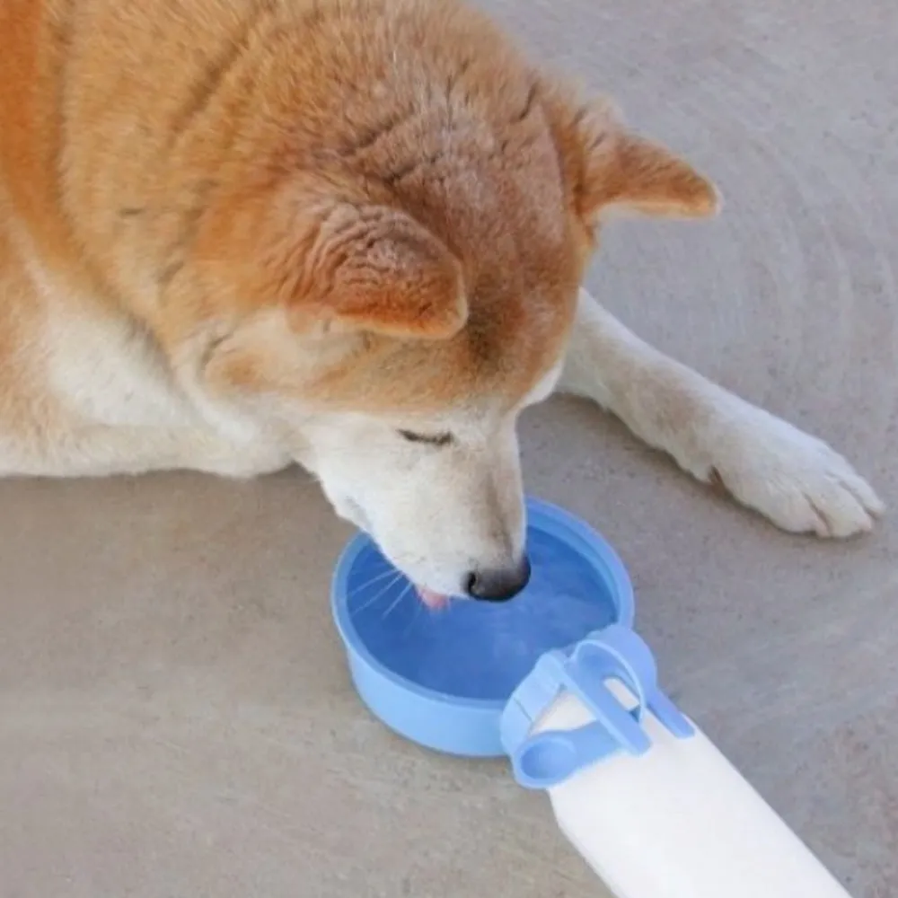 Travel-Friendly Porta-Pet Water Bottle in Light Blue - Small Size